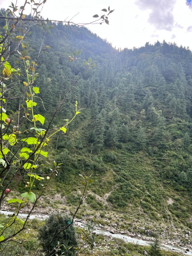 Survival In Forest, Tirthan Valley Bandal Esterno foto